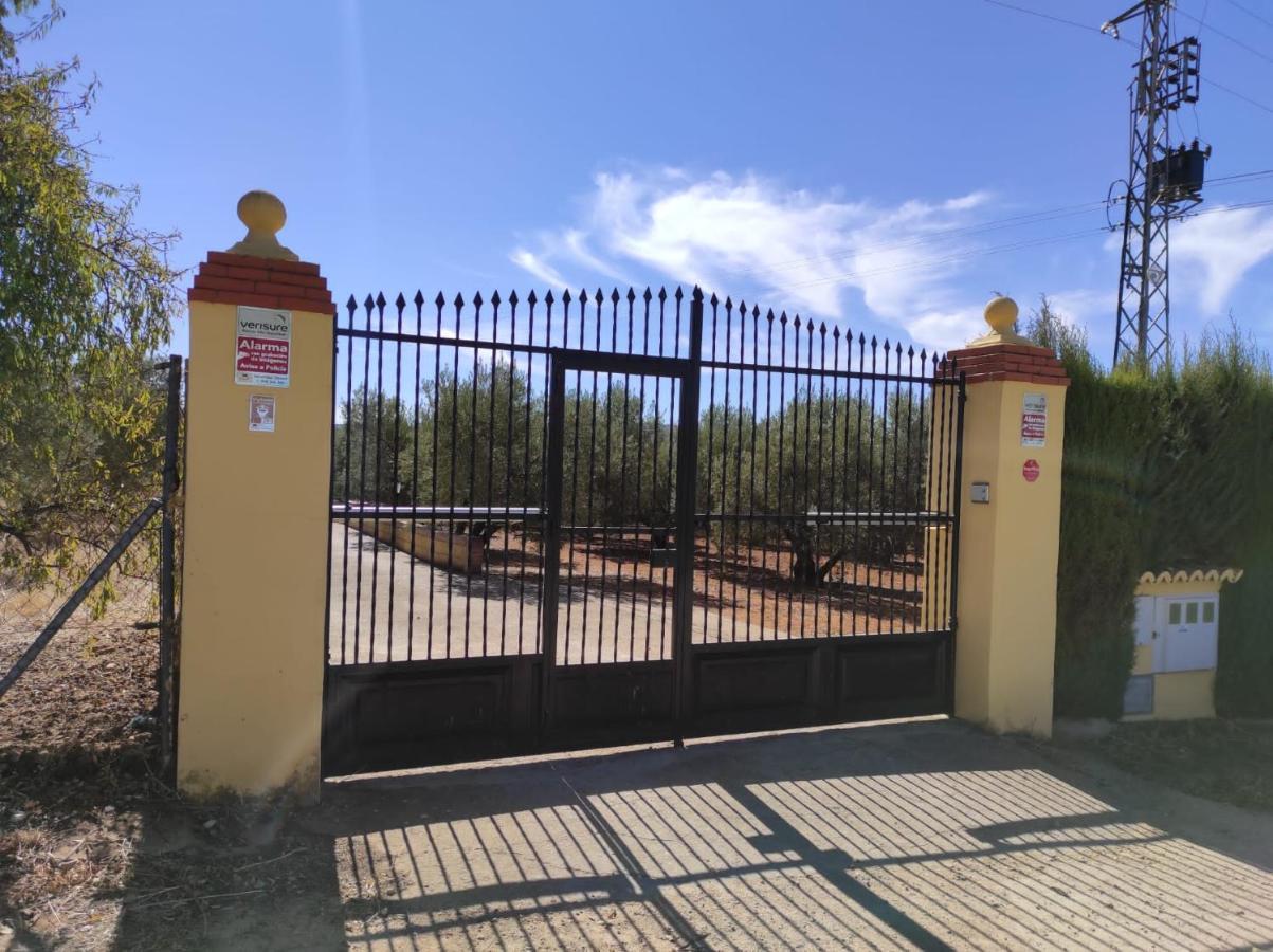 Los Abuelos Setenil De Las Bodegas Exterior foto