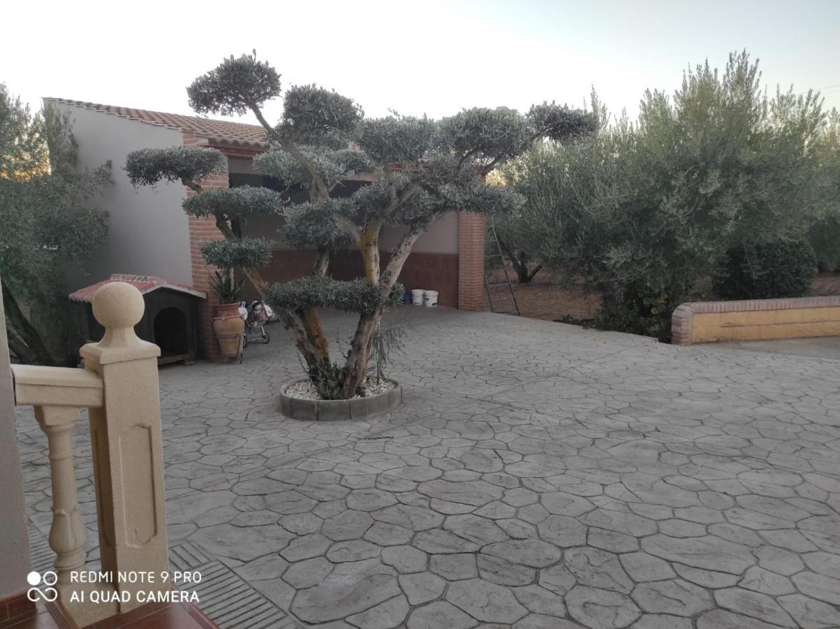 Los Abuelos Setenil De Las Bodegas Exterior foto