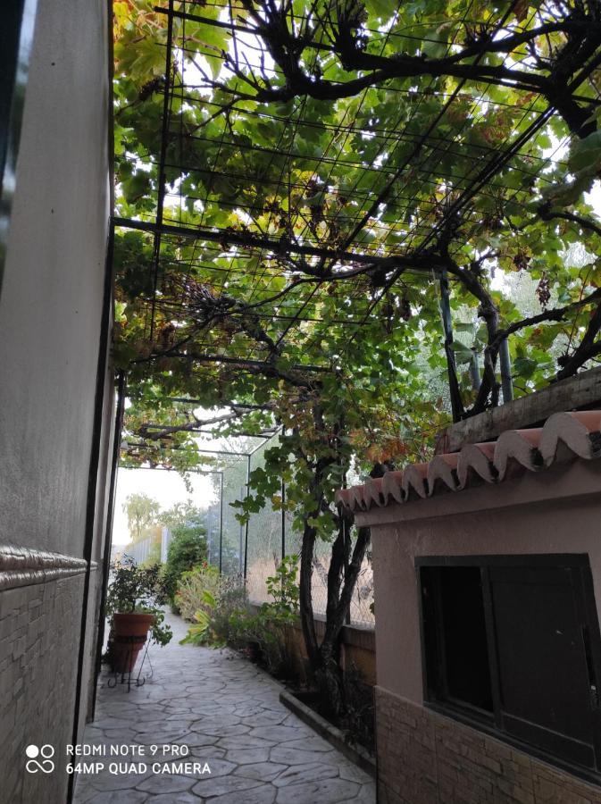 Los Abuelos Setenil De Las Bodegas Exterior foto